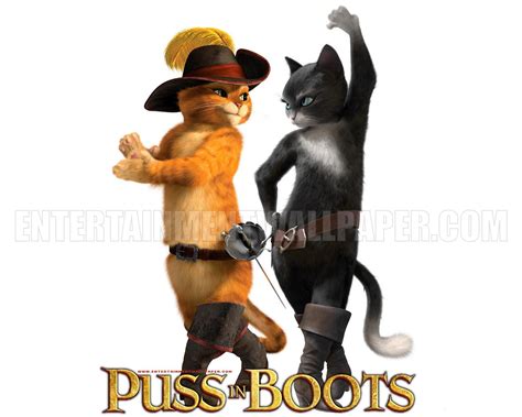 🔥 [50+] Puss in Boots Wallpapers | WallpaperSafari