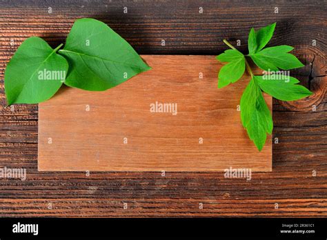 Wooden sign flowers frame Stock Photo - Alamy