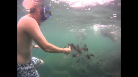 Snorkeling at Kaneohe bay in Oahu - YouTube