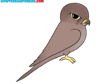 Cute Falcon Drawing | lupon.gov.ph