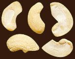 Large White Pieces(Cashew Nuts) at best price in Kollam by India Food Exports | ID: 1424035762