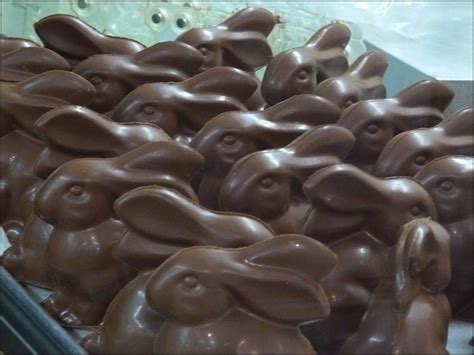 Chocolate Bunnies Free Stock Photo - Public Domain Pictures