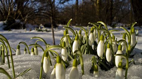 Spring Poland Wallpapers - Wallpaper Cave