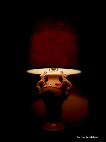 lamp-vintage-soft-filter.jpg | 4-045 | r. nial bradshaw | Flickr