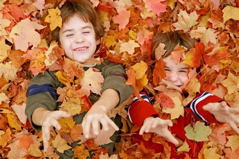 children playing in leaves