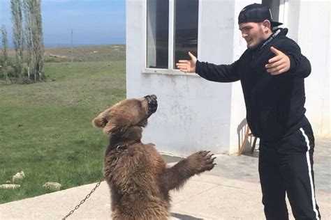 Here's a video of Khabib Nurmagomedov wrestling a bear with giant claws ...