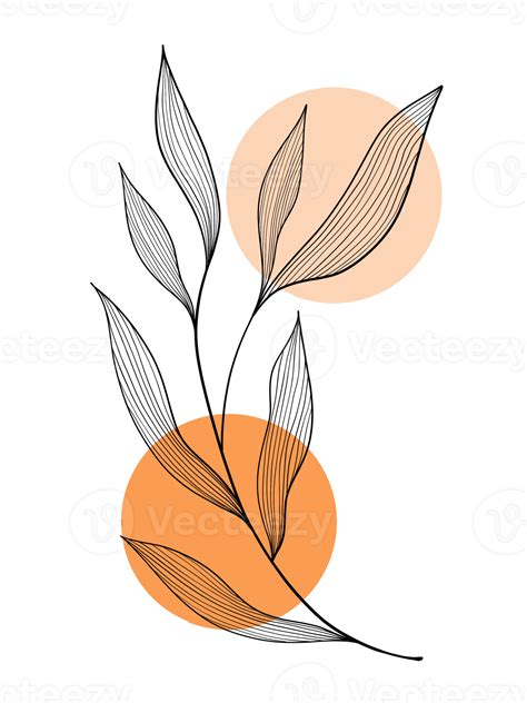 Botanical line art with orange circle shapes. Nature. 13521439 PNG