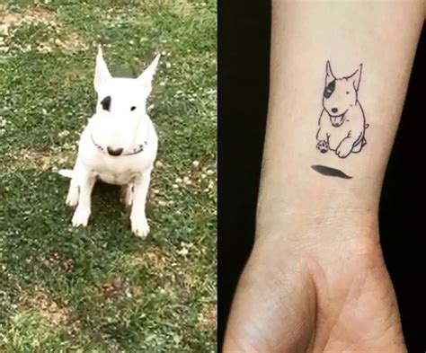 25 Best Bull Terrier Tattoo Designs – The Paws