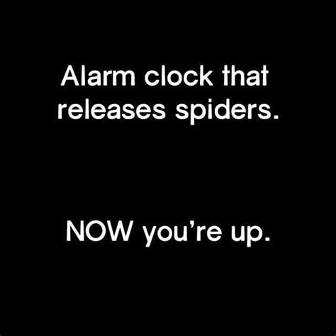 Alarm clock humor | Alarm clock funny, Funny quotes, Quotable quotes