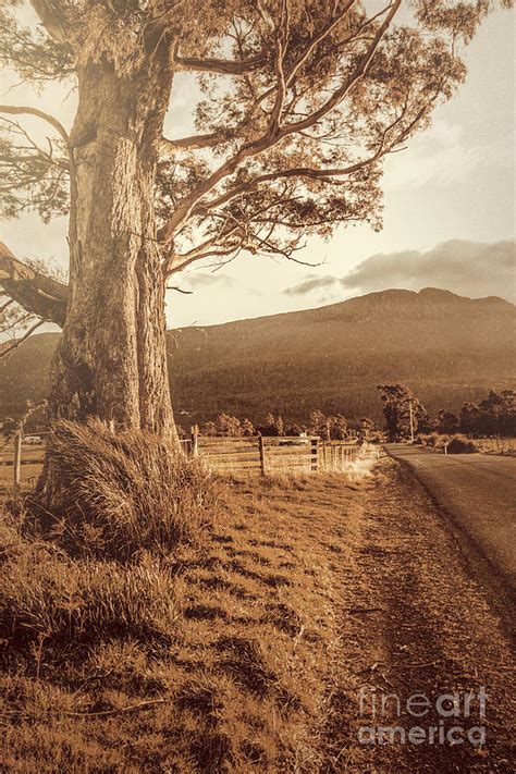 Liffey vintage rural landscape Photograph by Jorgo Photography - Fine ...