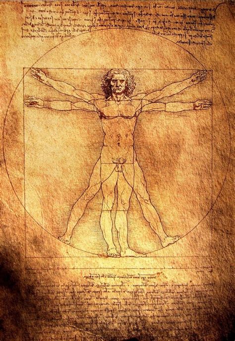 Vitruvian Man Wall Print POSTER Decor 32x24