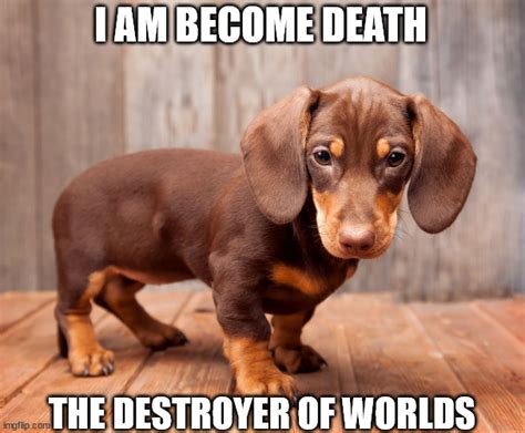 Weiner Dog destroyer of worlds - Imgflip