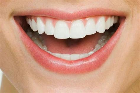 To Brighten Teeth Like Pearls, Include These Items in Your Diet – Results Will Soon Be Visible ...