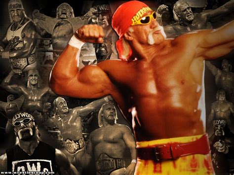 Hulk Hogan - Hulk Hogan Wallpaper (34351423) - Fanpop