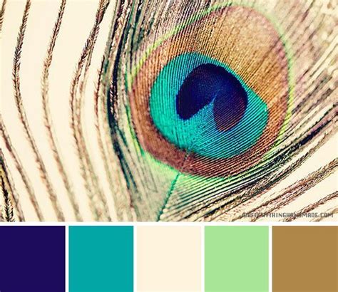 Color Palette // Peacock Feather | Color palette, Peacock feather ...