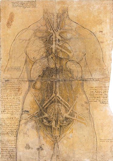 facsimilium: Leonardo’s human anatomy notebooks, 15th C
