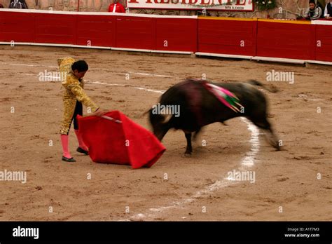 a matador fights a bull Stock Photo - Alamy