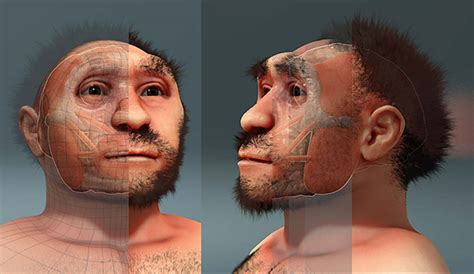 Face Reconstruction