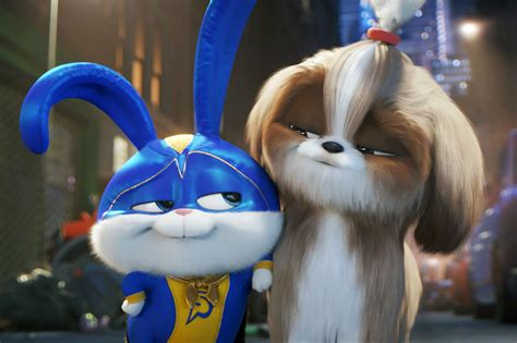 'Secret Life of Pets 2' review: most laughs when credits roll