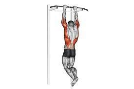 Image result for dead hang exercise | Columnas, Agarre, Espalda