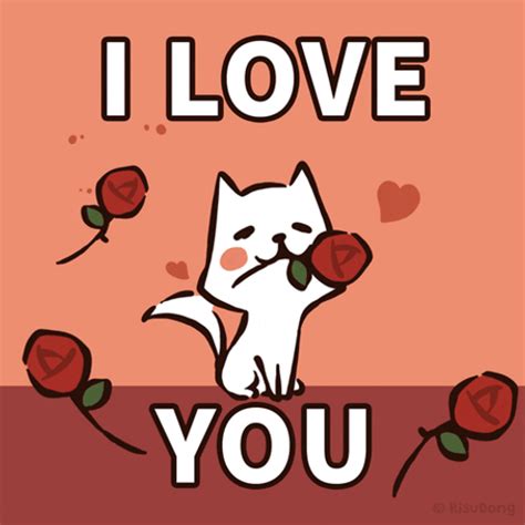 I Love You Cat Rose GIF | GIFDB.com