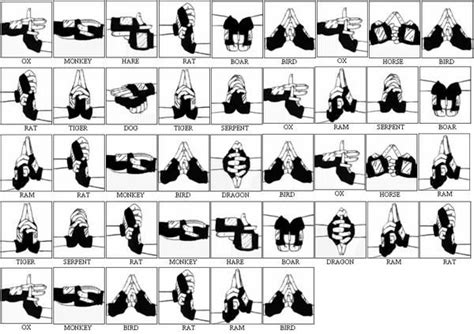 jutsu hand signs...AAARGH why are these so hard!!! *NINJA FAILURE* | Naruto! | Pinterest ...