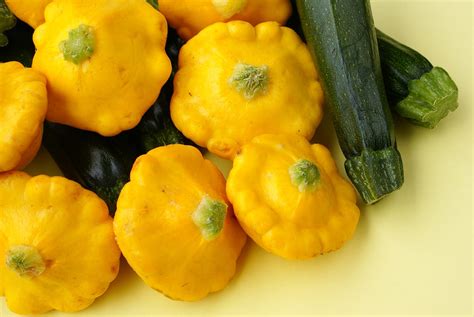 How to Harvest and Store Summer Squash -- Harvest to Table