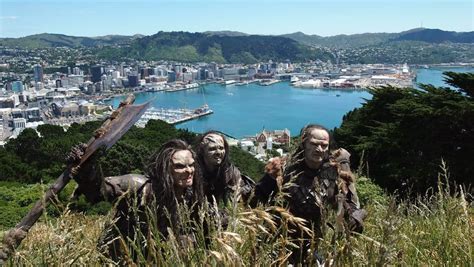 15 Best New Zealand Tours - The Crazy Tourist