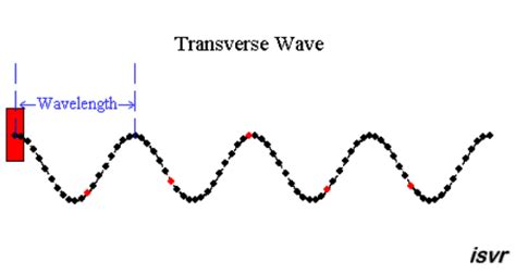 How can transverse waves be produced on a rope? | Socratic