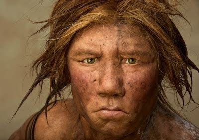 HOJAS DE HISTORIA: La Eva neandertal