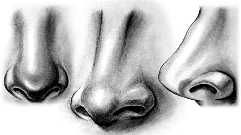 How To Draw a Nose | Realistic Nose |Side View Nose | step by step - YouTube