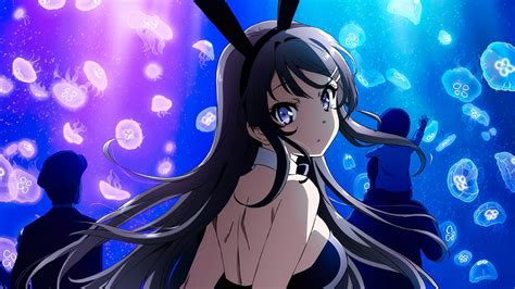 El anime Seishun Buta Yarou wa Bunny Girl Senpai no Yume wo Minai llegará a Netflix — Kudasai