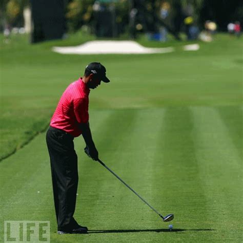 Tiger Woods 2009 Swing Sequence GIF #golfswingsequence | Golf tips, Golf clubs for beginners ...