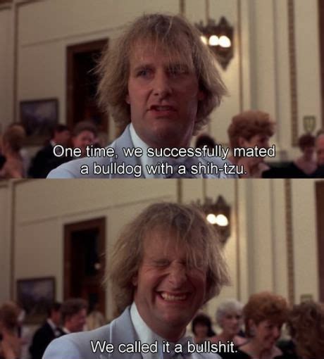 Best Dumb And Dumber Quotes. QuotesGram