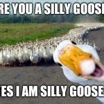 GOOSE Meme Generator - Imgflip