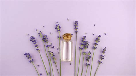 Lavender Oil not only Calms Anxiety but it will Protect your Aura too