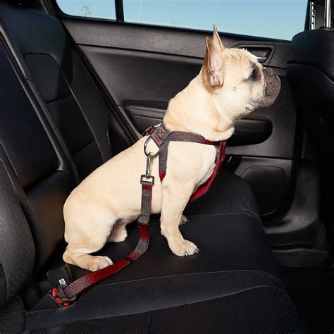 HDP Car Dog Harness & Safety Seat Belt Travel Gear, Red, Small - Chewy.com