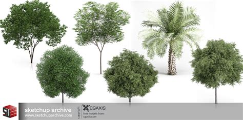 Cgaxis Trees-Free - Sketchup Archive