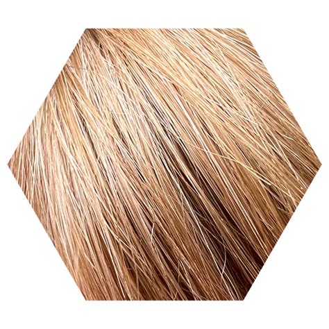 Hair colour almond light blonde 9.37 - WECOLOUR