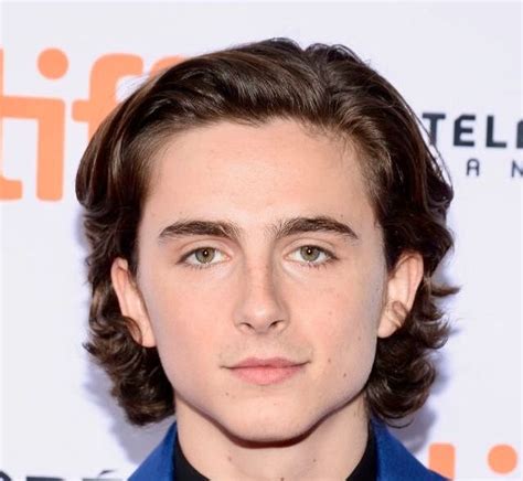 Timothee Chalamet | Timothee chalamet, Celebrity travel, Beautiful men