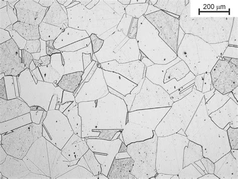 Austenitic structure of the X11MnSiAl17-1-3 steel containing annealing... | Download Scientific ...