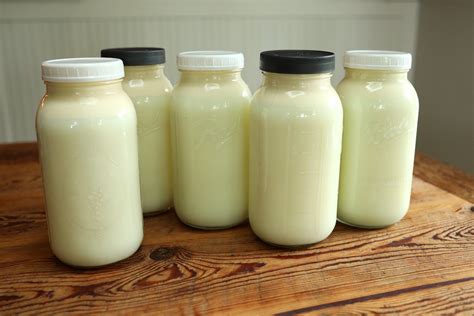 36 Easy Raw Milk Recipes To Use Up Extra Milk - From Scratch Farmstead