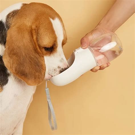 Leak proof Pet Water Bottle Wrist Strap Dogs Cats Perfect - Temu