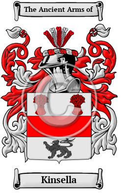 Kinsella Name Meaning, Family History, Family Crest & Coats of Arms