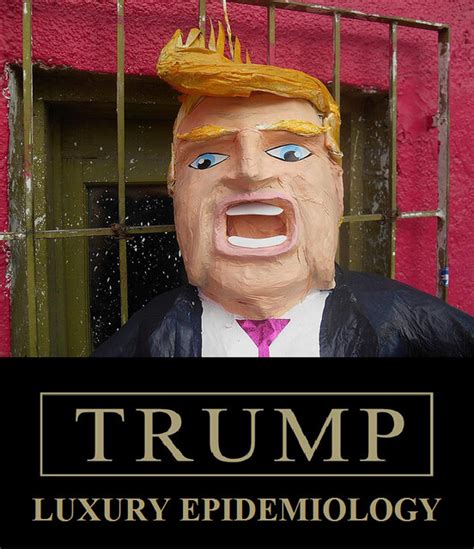 Trump Epidemiology | Mike Licht, NotionsCapital.com | Mike Licht | Flickr