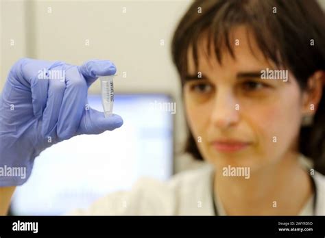 Egfr gene mutation hi-res stock photography and images - Alamy