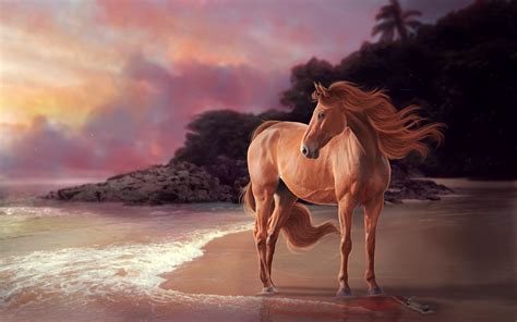 Horse on Sunset Beach by Jenna Phillips