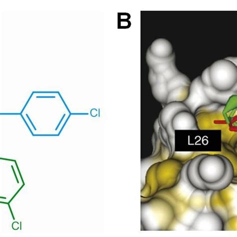 Structural aspects of nutlin binding. A, chemical structure of... | Download Scientific Diagram