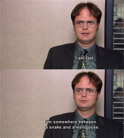 dwight | Office quotes funny, The office show, Office humor