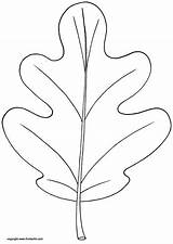 Oak Leaves Coloring Pages Printable Sketch Page sketch template